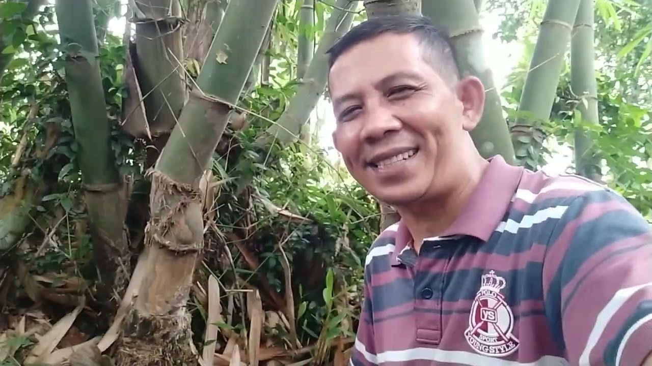 SEKALI MELANGKAH 