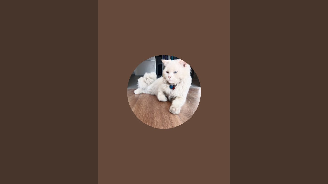 animal lover mast  is live!