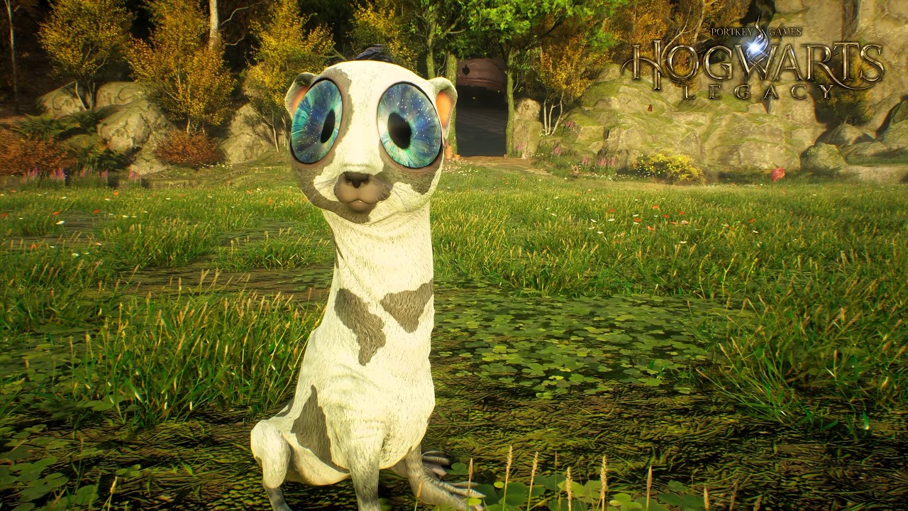 Wir sammeln Tierwesen – Magische Begegnungen in Hogwarts Legacy #12