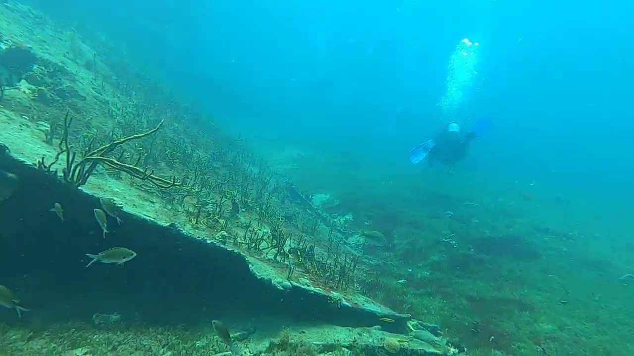St. Kitts - Scuba Diving - River Taw - June 8, 2025
