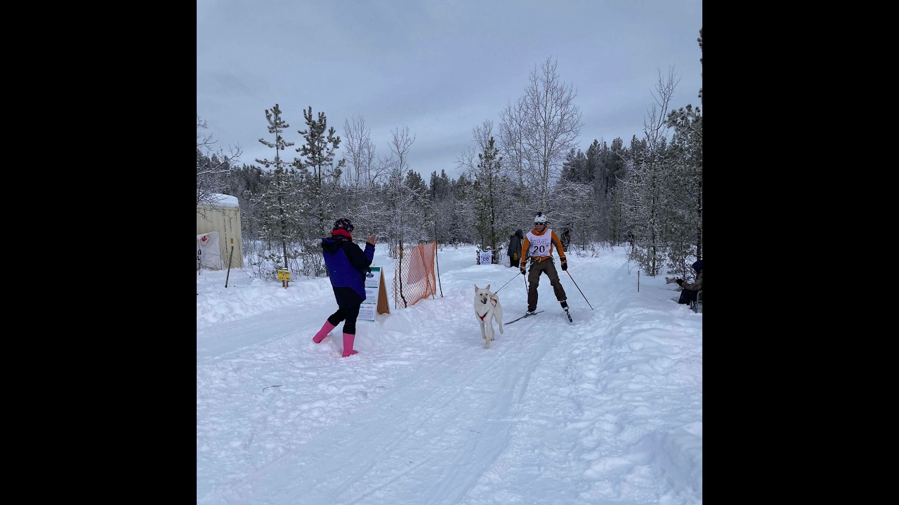 2026 Babe Southwick Memorial Race - Skijoring with Ti-Lou
