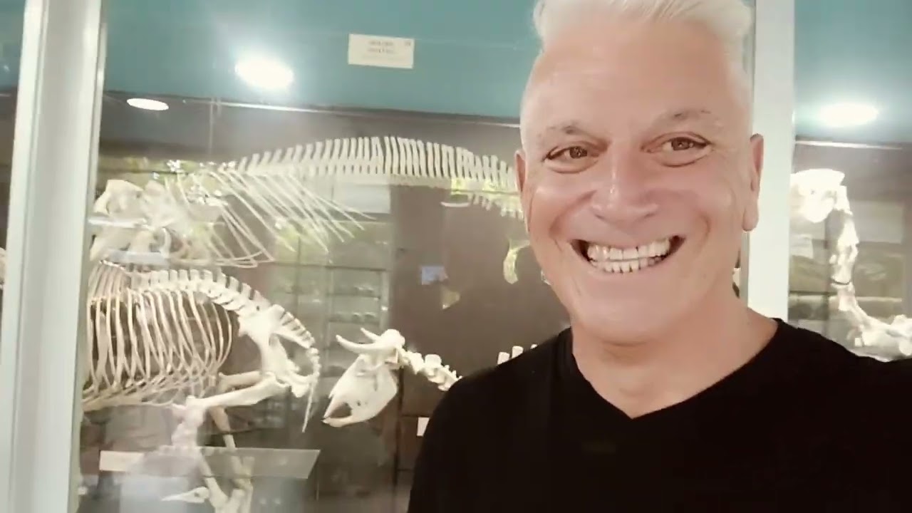 un día en el zoológico.🙈🙉🙊🦓🦬🐂🐩🐢