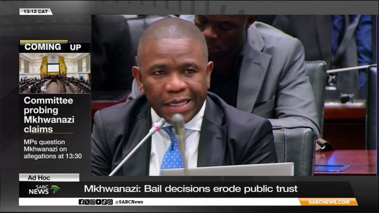 Mkhwanazi points at SA's justice system in Senzo Meyiwa murder trial