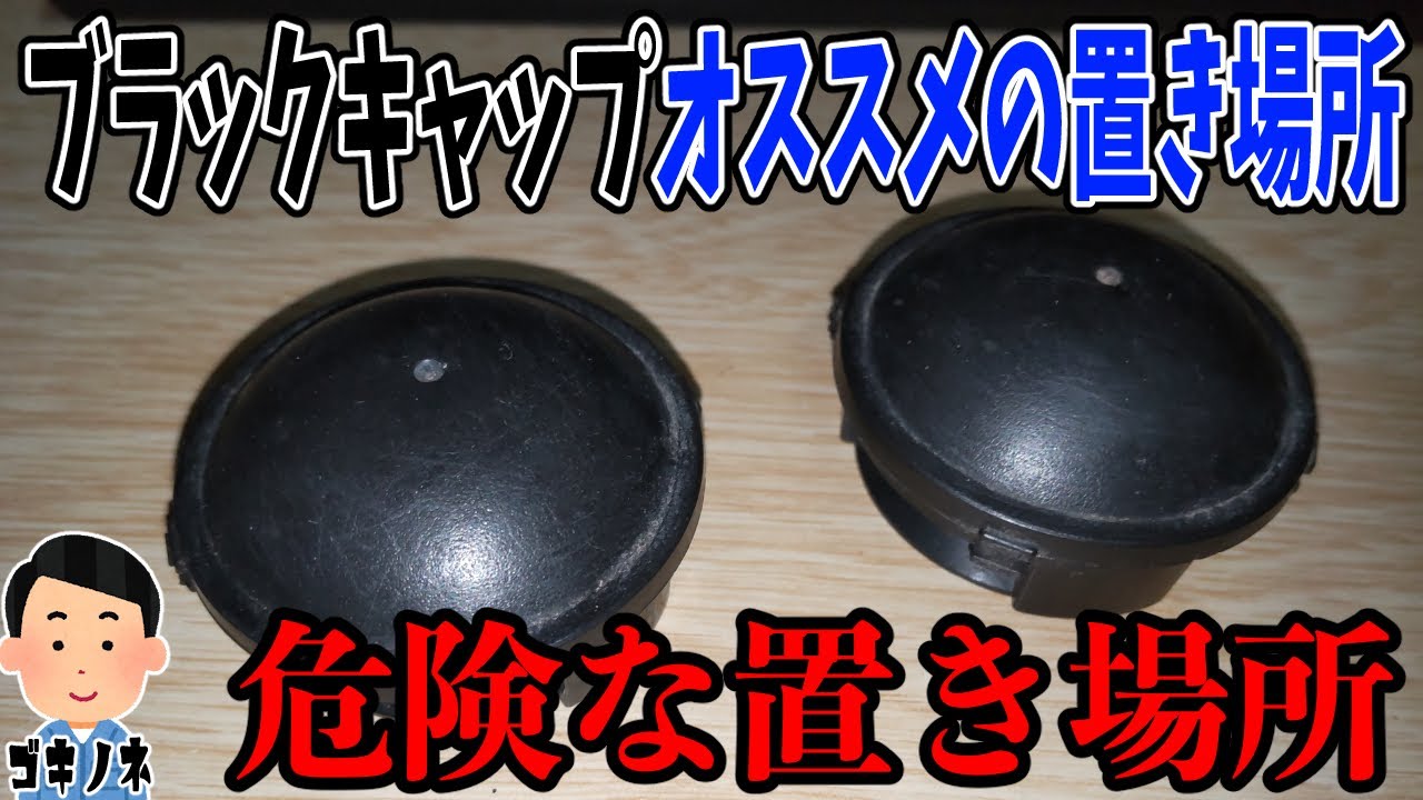 プロ目線のゴキブリ対策！ブラックキャップの危険な置き場所・オススメの置き場所