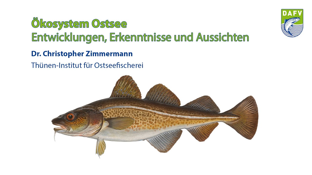 Ökosystem Ostsee - Entwicklungen, Erkenntnisse und Aussichten | Dr. Christopher Zimmermann
