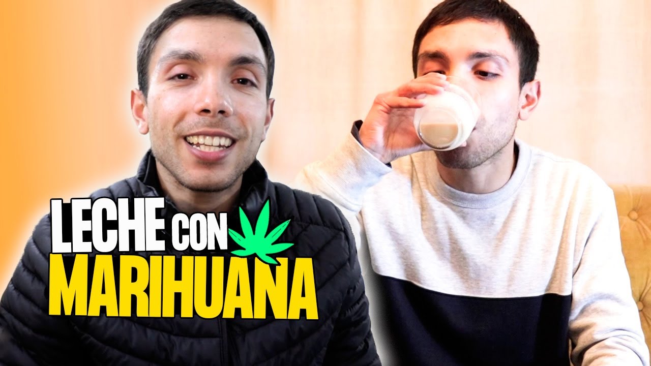 C&oacute;mo Hice Leche de Marihuana I La pruebo y explico efecto