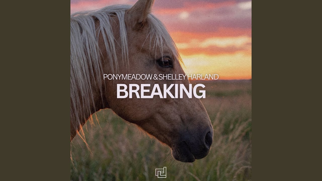 Breaking (Extended Mix)