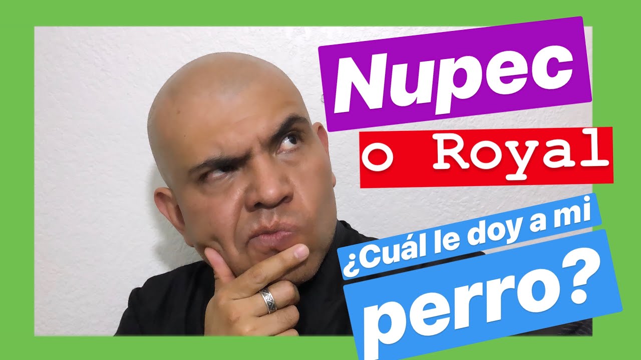 cuál es el mejor alimento para perro en México, Royal o Nupec?