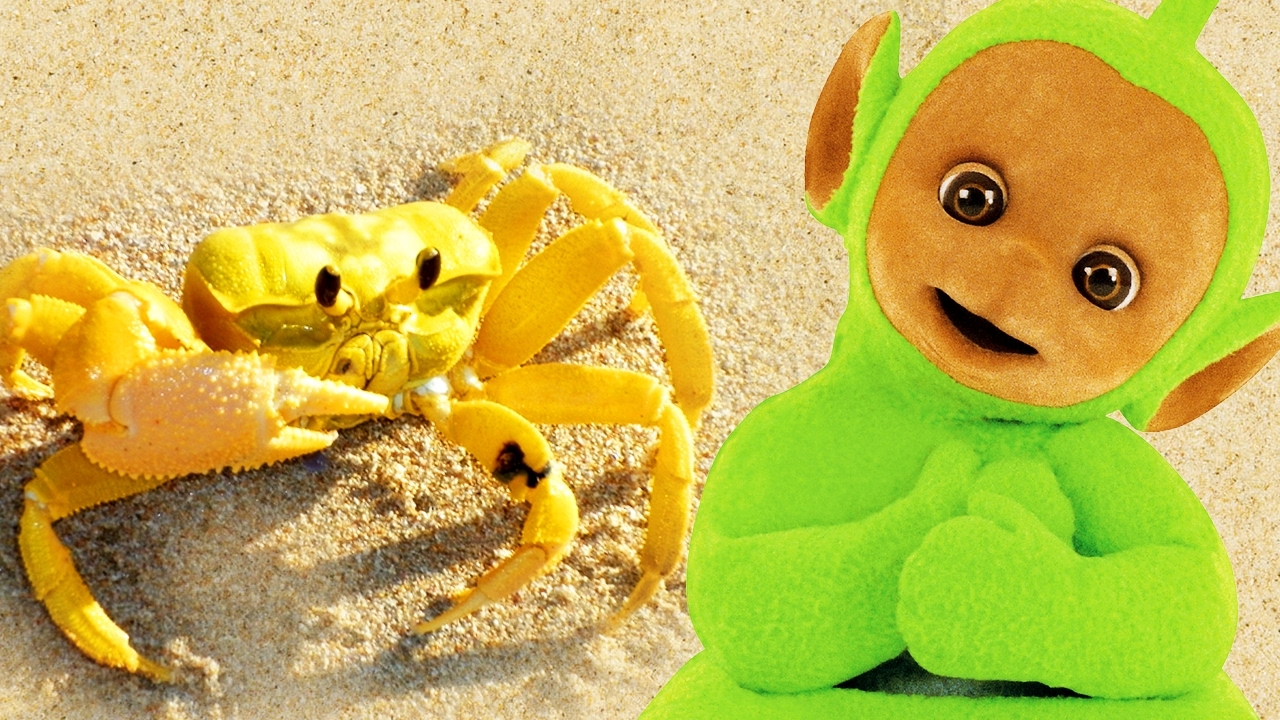 Teletubbies: Digging In Sand - Crabs | 134 | Videos For Kids