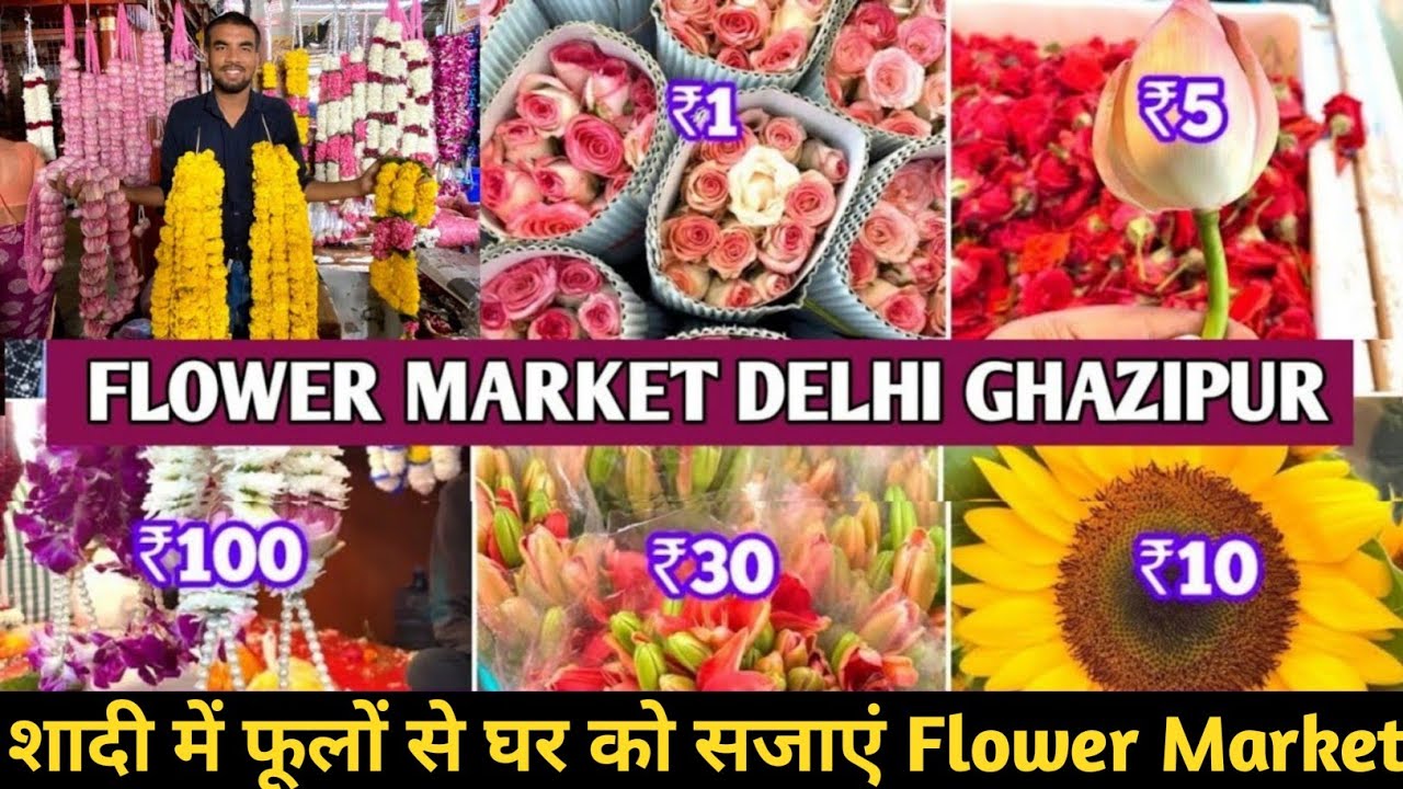 Flower Market Delhi | The Biggest Flower Wholesale Market Ghazipur | 100+Flower Variety & Reasonable