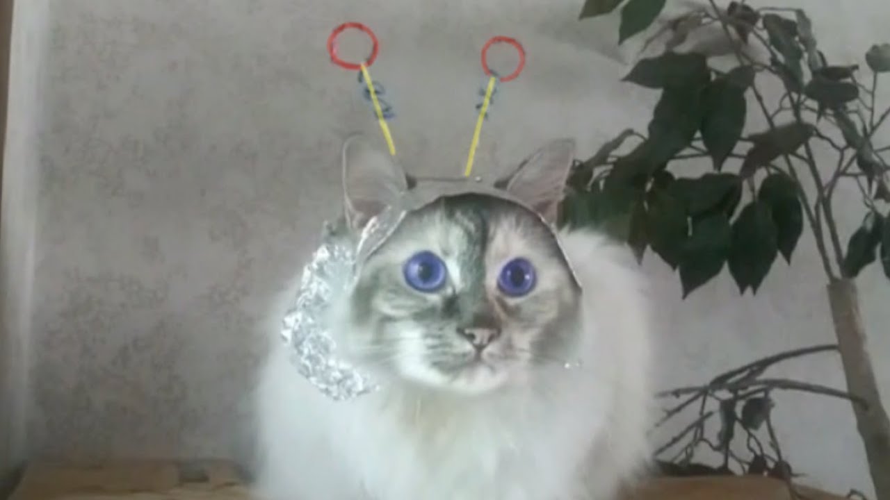 Behind The Scenes - Wednesday Costume Test