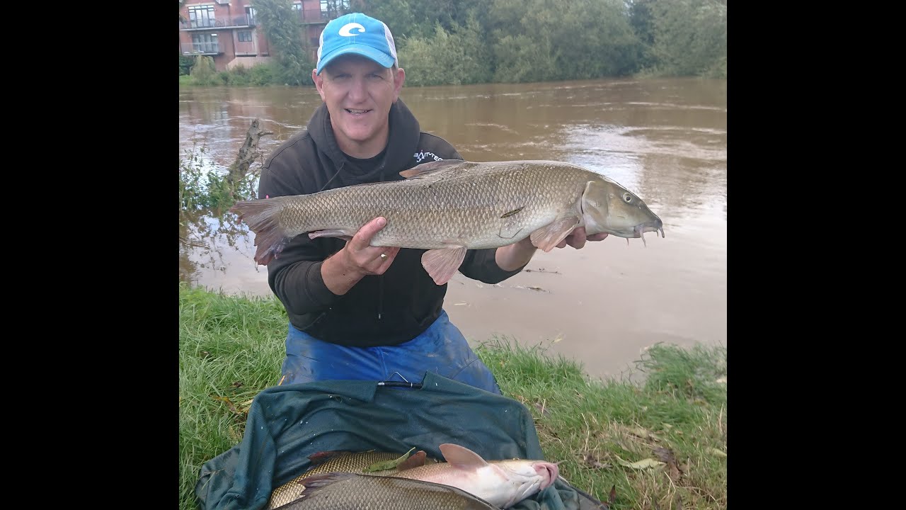 Angling Escapades Autumn Barbel on The River Wye