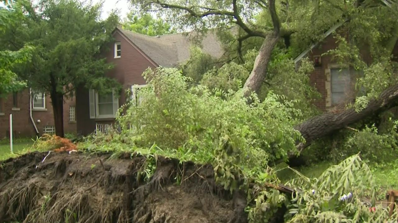 Metro Detroiters clean up after storms bring floods, power outages, fallen trees