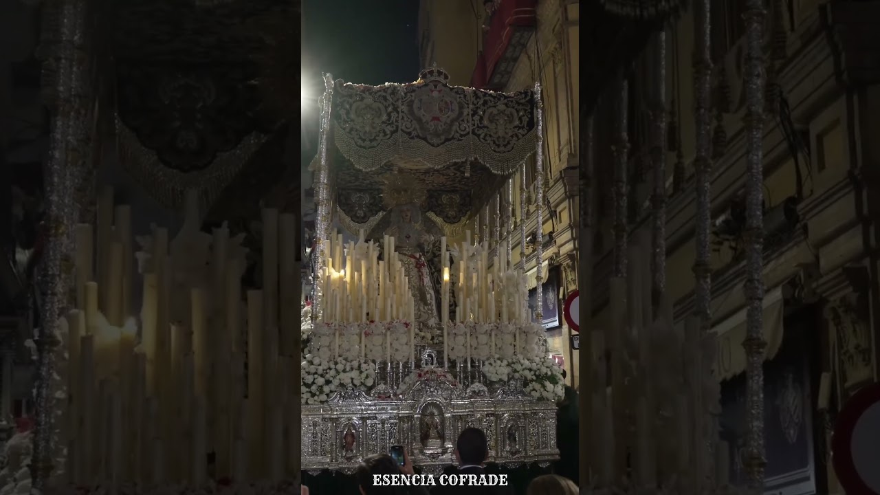 ESPERANZA DE LA TRINIDAD #ssantasevilla24 #semanasanta #sevilla