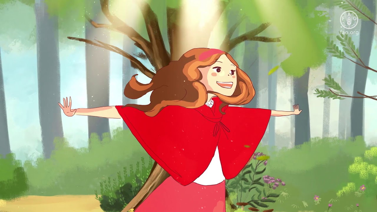 International Day of Forests 2019: Forests and Education