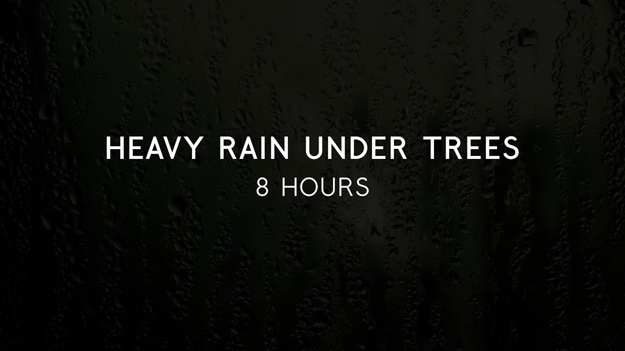 Heavy Rain Under Trees | 8 Hours | Black Screen