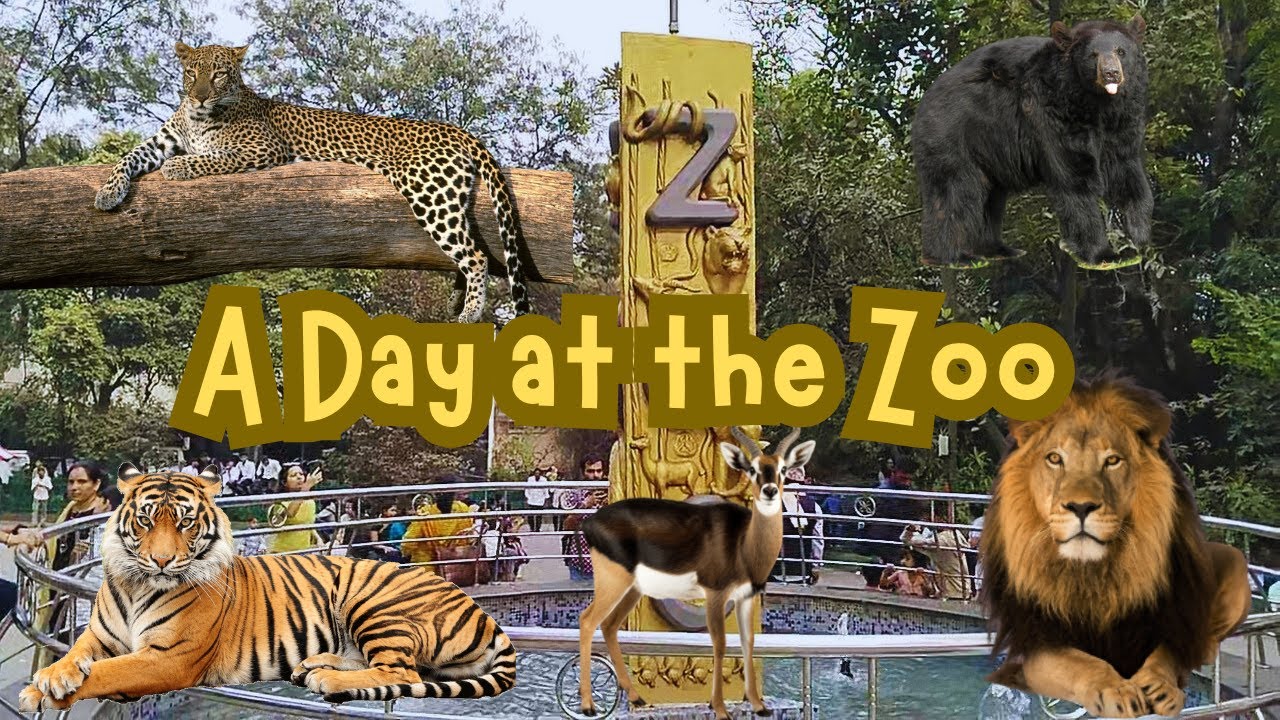 Zoo Animals Vlog | Amazing Wildlife & Rare Animals Up Close 🦁🐘 | Vlog 6 | Aasif Khan Vlogs