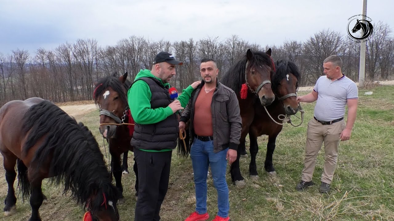 - JAKICA STIGAO U MELINU NOĆ PRIJE VELIKE ŠTRAPARIJADE -