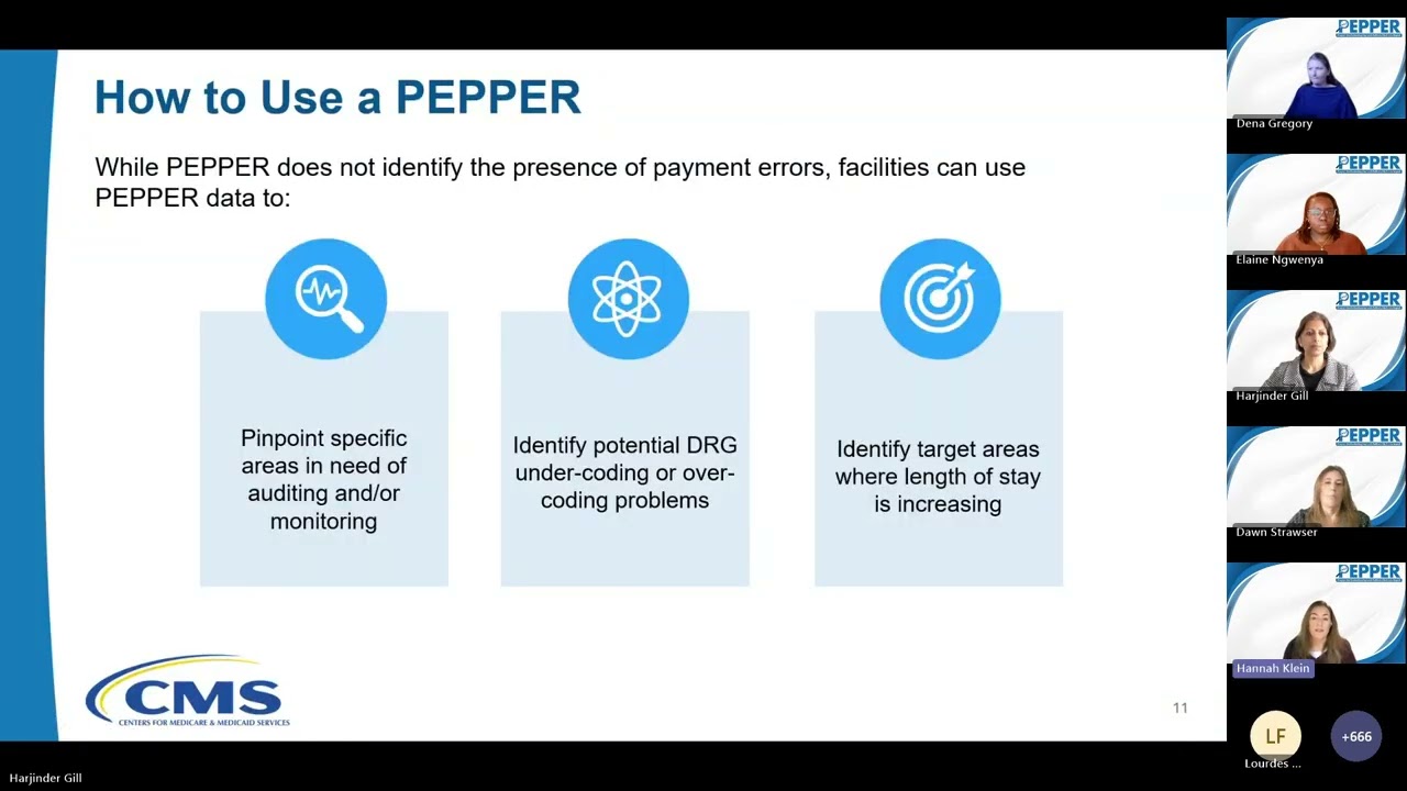 Q4FY25 ST PEPPER Webinar