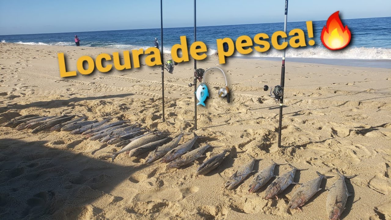 UNA DE LAS MEJORES PLAYAS PARA LA PESCA DE ORILLA EN LOS CABOS