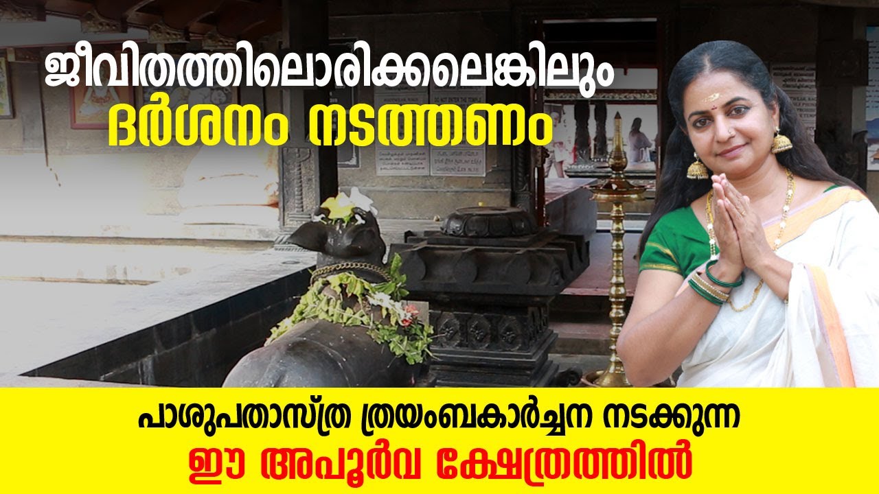ജീവിതത്തിലൊരിക്കലെങ്കിലും ദര്‍ശനം നടത്തണം ഈ അപൂര്‍വ ക്ഷേത്രത്തിൽ  | Thykkattu Mahadeva Temple