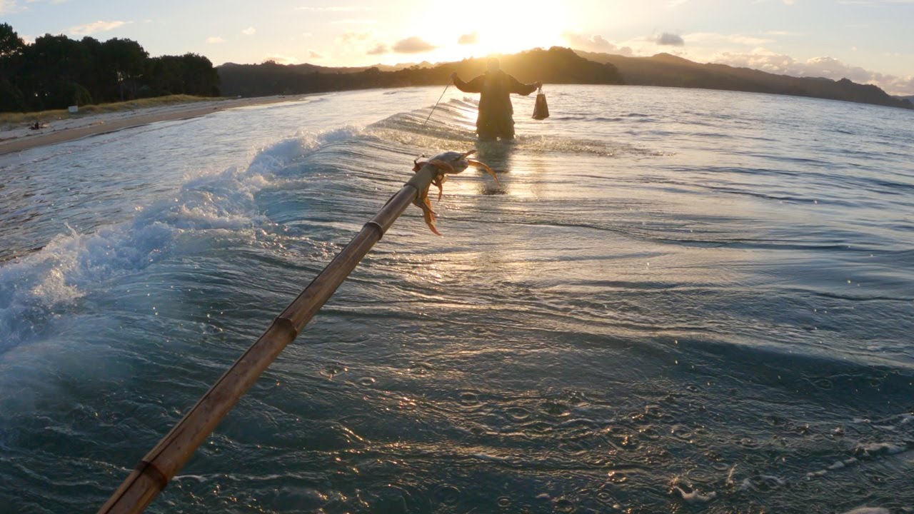 Catch And Cook NZ Paddle Crabs!