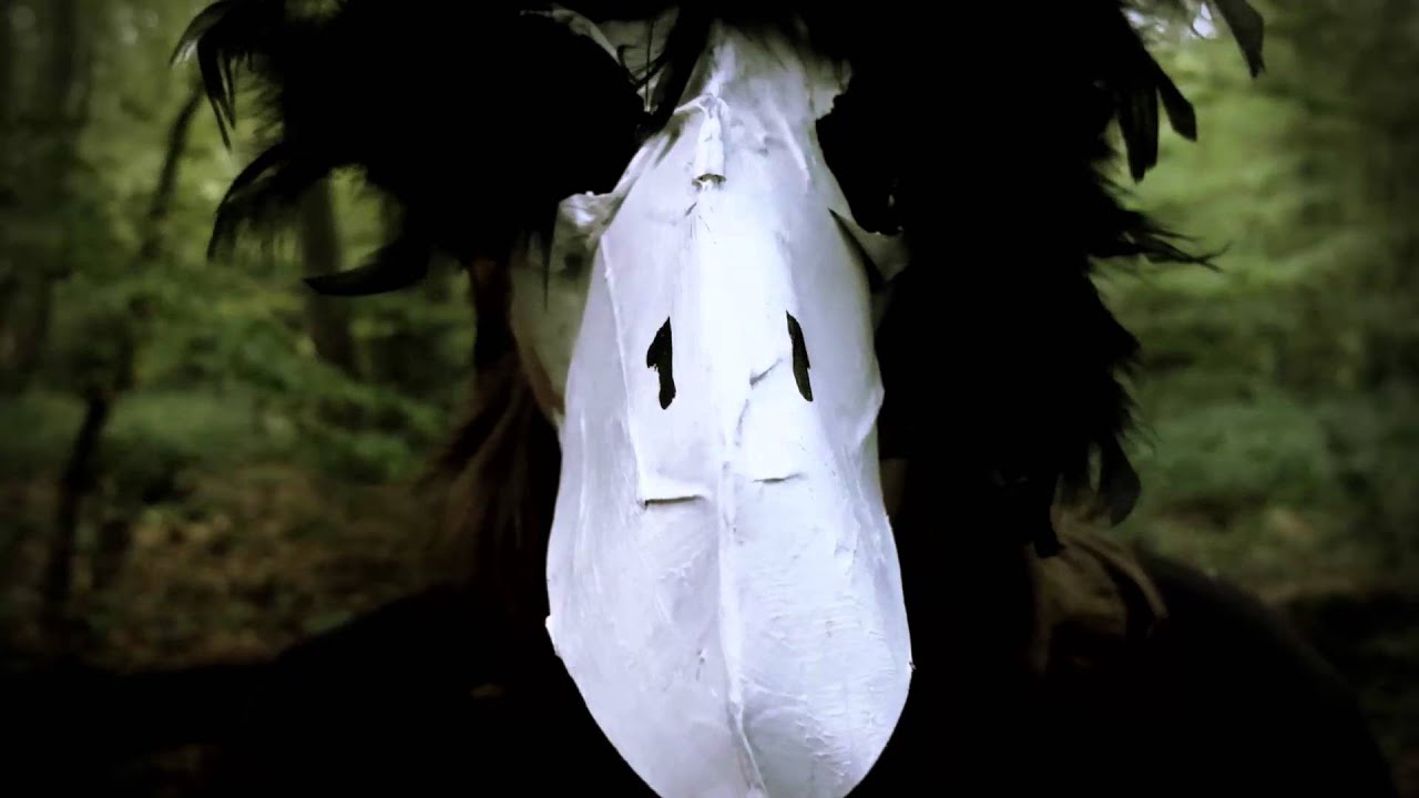 Pecked to death - Punching Swans (Official video)