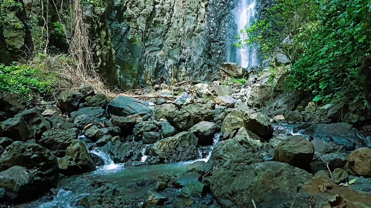 Tropical Forest River Sounds – Peaceful Nature White Noise 1080p | Sleep & Meditation