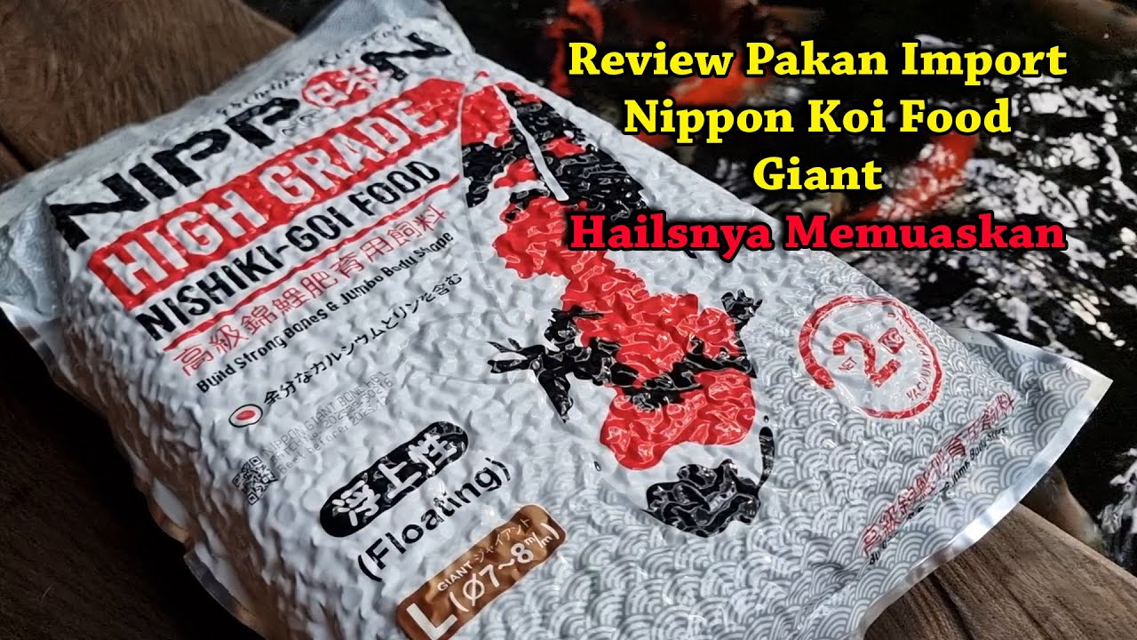 REVIEW PAKAN KOI IMPORT | NIPPON GIANT | BUILD SRONG BONES AND JUMBO BODY SHAPE