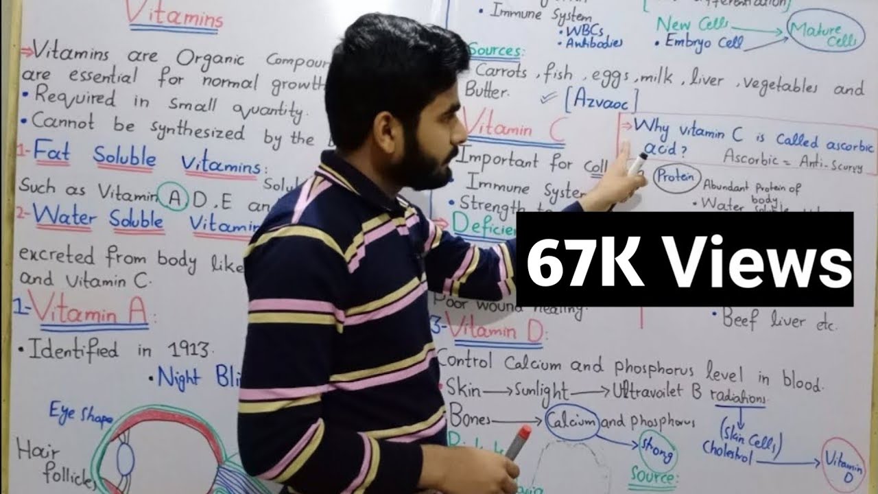 Vitamins || Vitamins And Deficiency Disease In Urdu Hindi By Mr Hadi | Fat And Water Soluble Vitamin