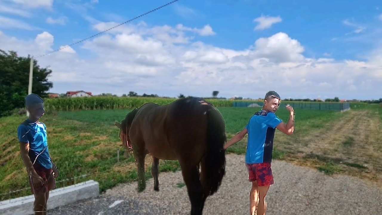 copilăria