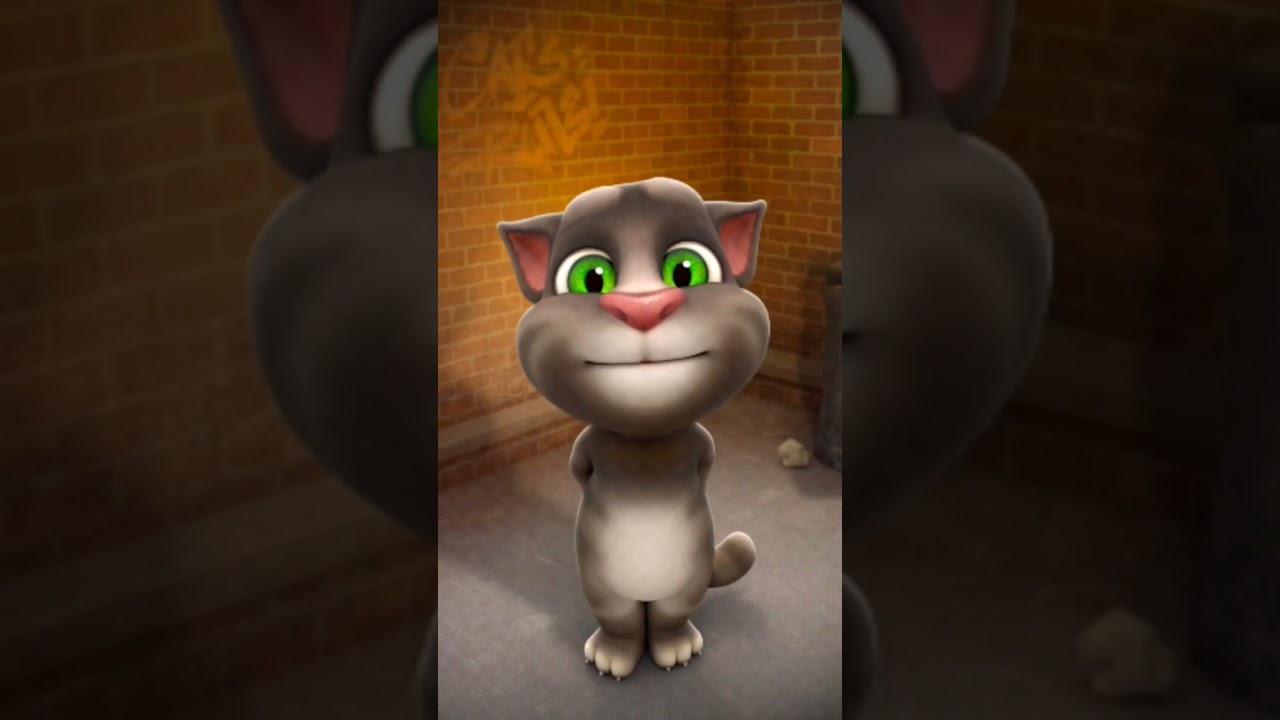 Kalamma Kalamma song in cat what's  app satus