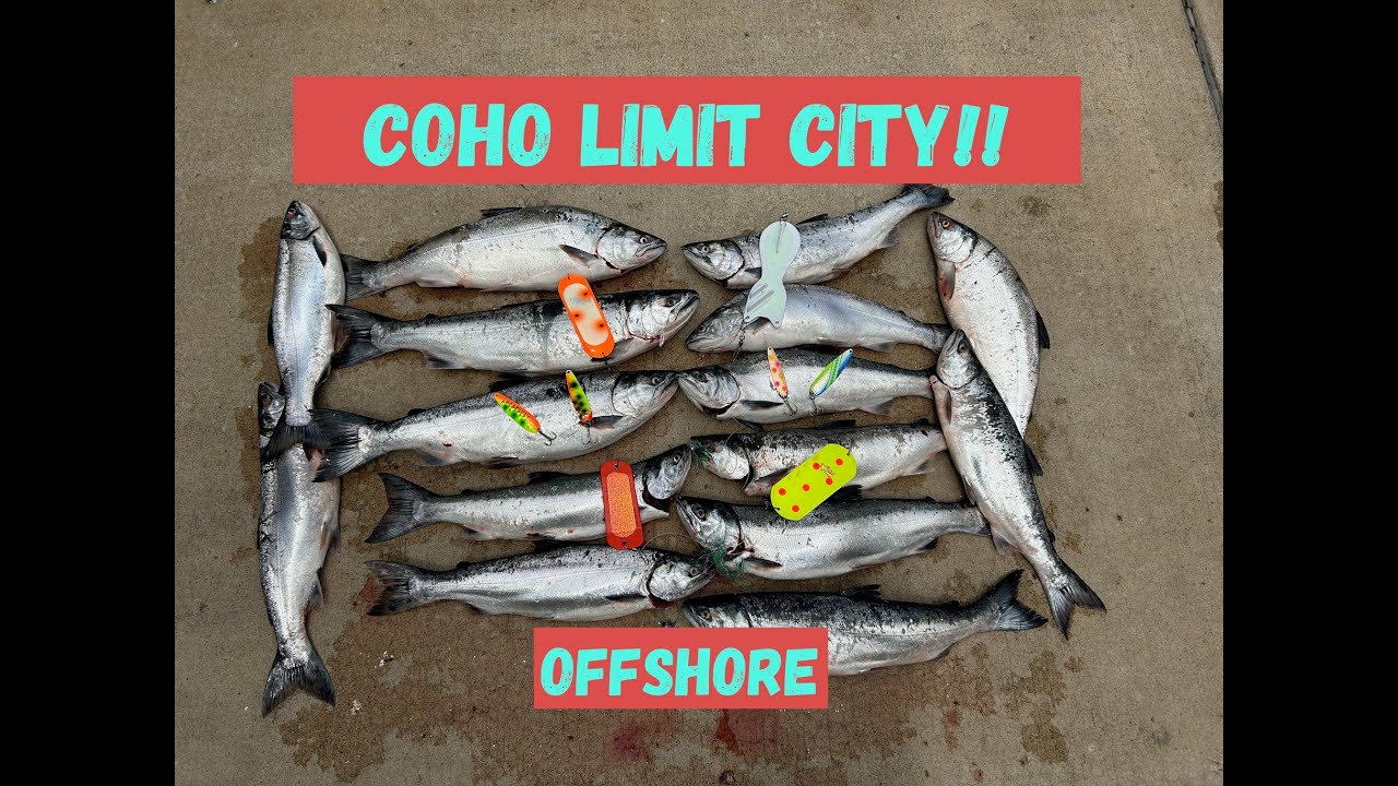 Coho Salmon LIMIT!!! First trip offshore this year. HOT BITE! Hammond, IN Lake Michigan 5/31/2024
