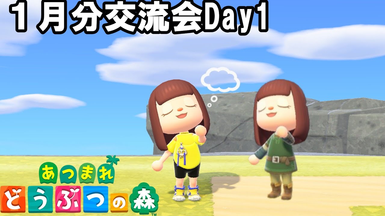 月一交流会企画～造(つくる)～【あつまれどうぶつの森/あつ森】１月分Day１⛩
