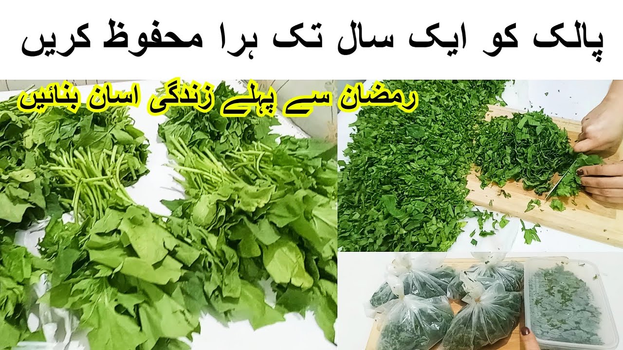 Palak Ko Mahfooz Karne Ka Tarika For 1 Year | |How To Make Frozen Palak|Ramzan Special Recipe 2024|
