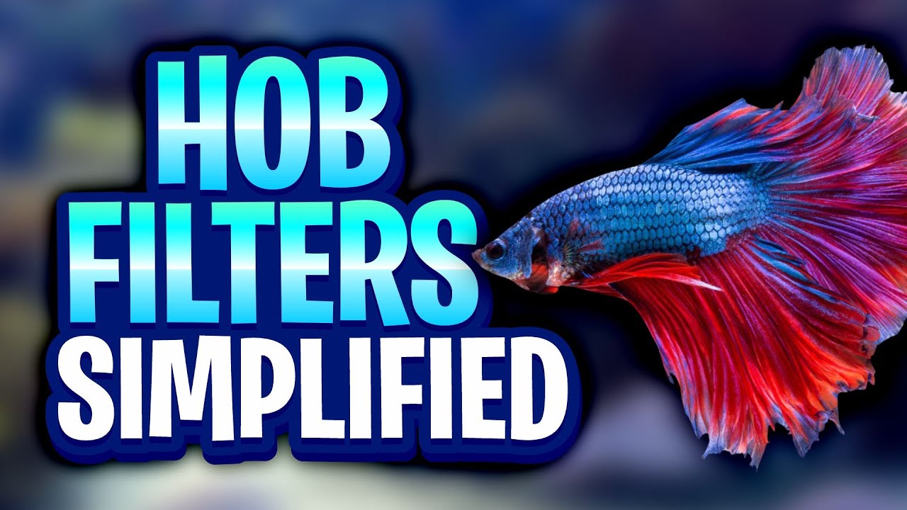 Hang-On-Back Filters Simplified - Is This The Best Filter For Your Aquarium?