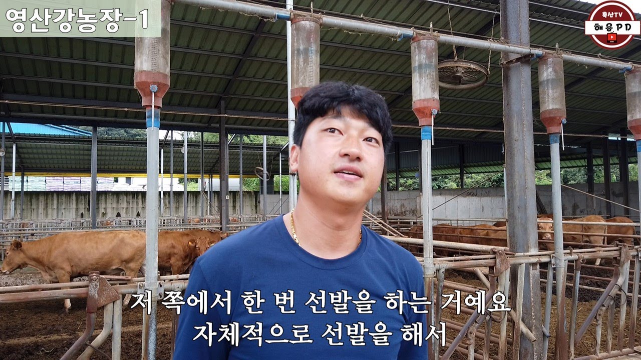 송아지 폐사율 1%, 나주에서 우량암소가 가장 많은 영산강농장의 번식 관리방법