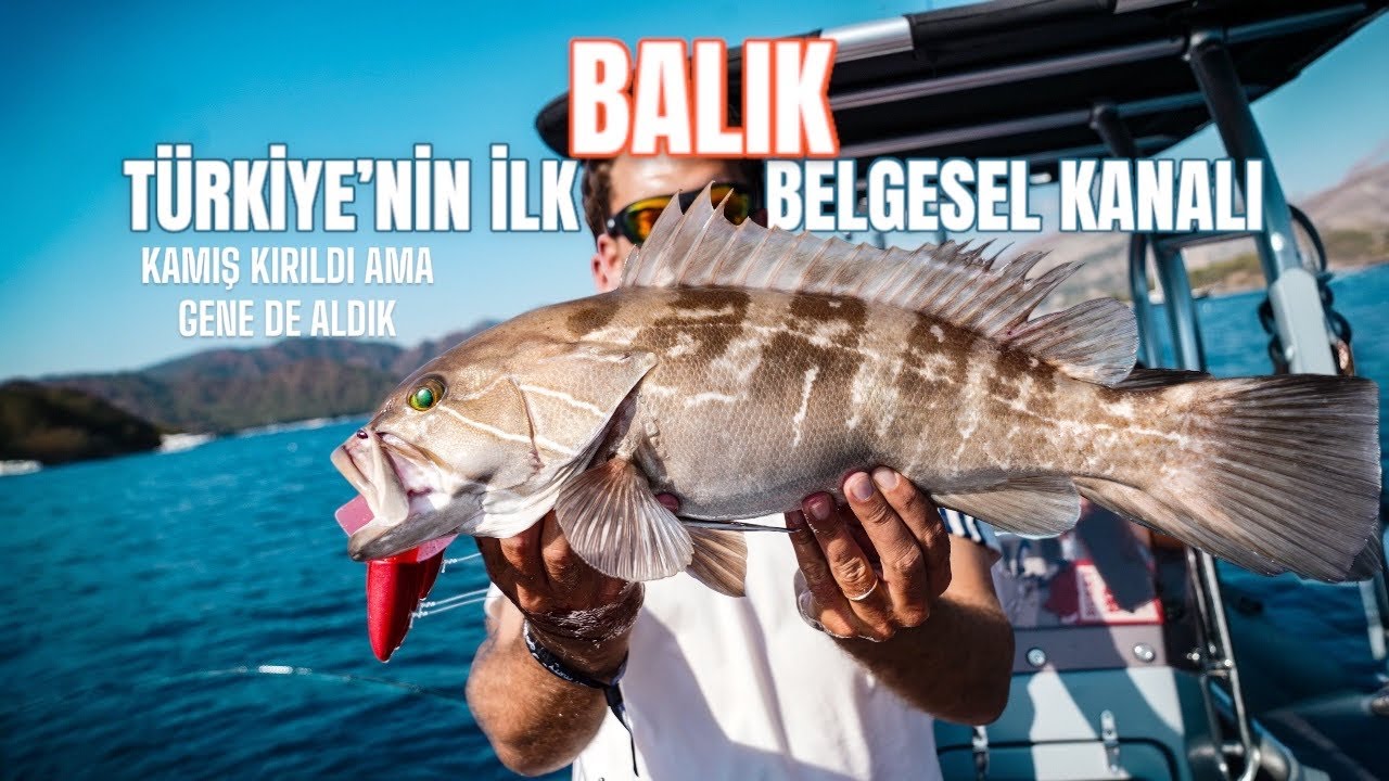 IF YOU ARE FISHING, WATCH THIS VIDEO!