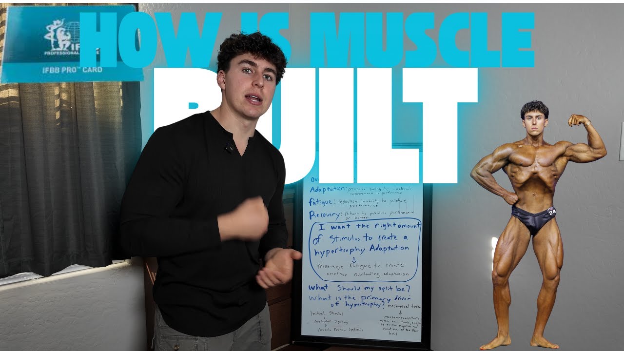 UNDERSTAND THIS AND YOU'LL NEVER STOP BUILDING MUSCLE