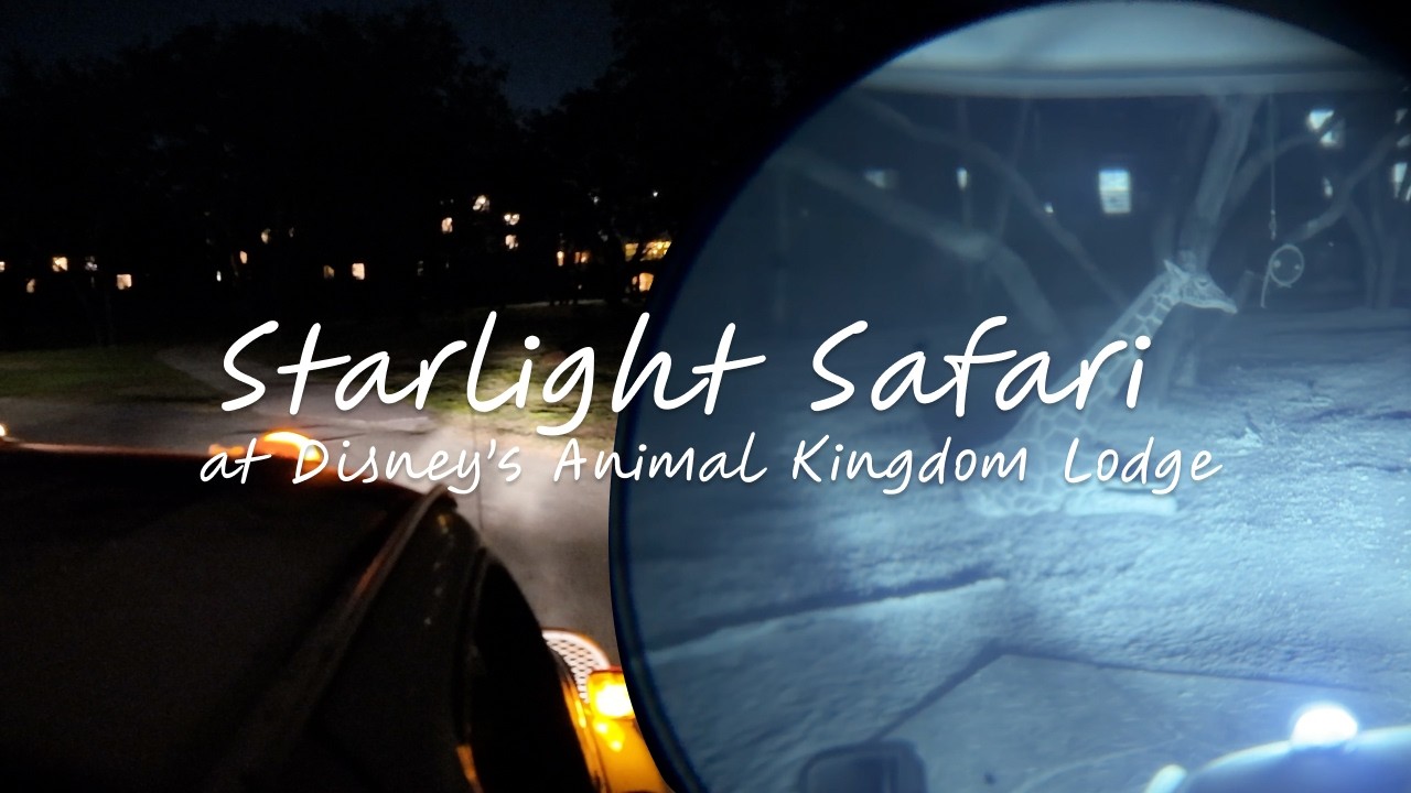 Starlight Safari VIP Tour at Animal Kingdom Lodge • Walt Disney World