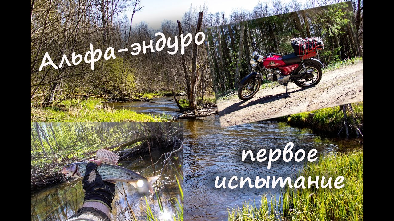 На рыбалку на Альфе-эндуро