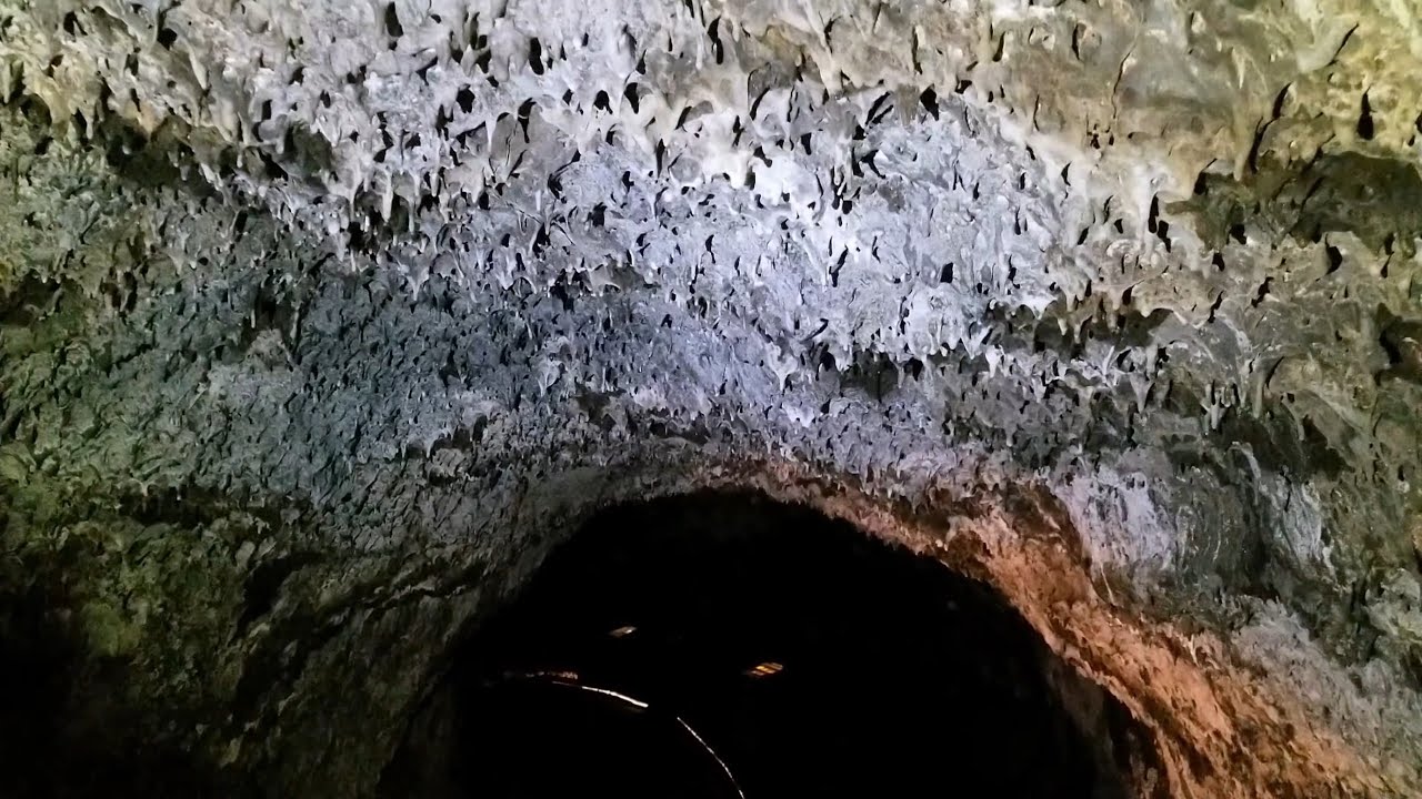 40,000 Year Old Cave - No Talking - Cave Ambience and Sounds