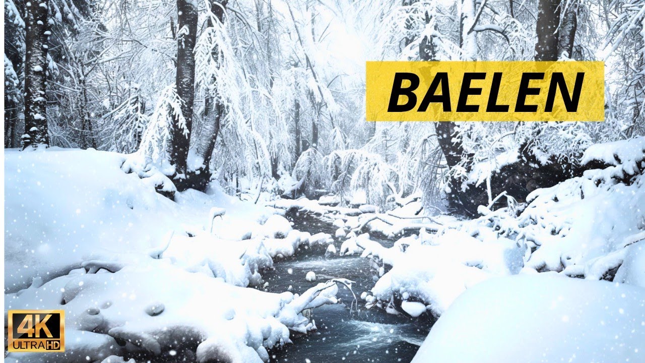 High Fens Forest Hike in Snow – ASMR 4K, Baelen, Belgium