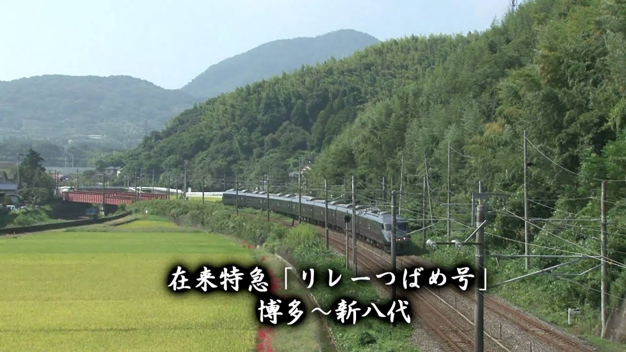 小さな旅～リレーつばめ号・彼岸花咲く田園地帯を走り抜く