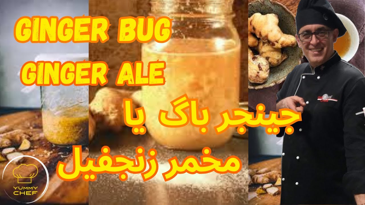 آموزش اسرار تهیه مخمر زنجفیل به زبان ساده