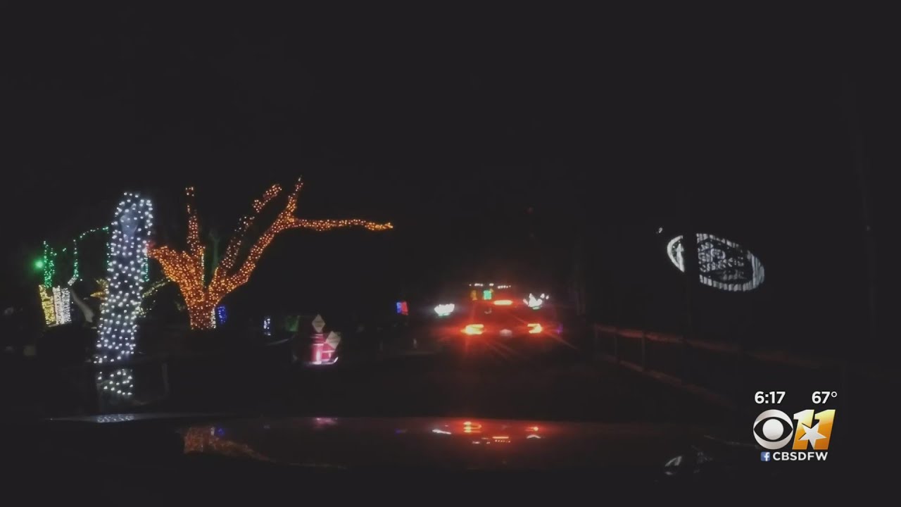 Dallas Zoo Begins Drive-Thru Christmas Lights Display