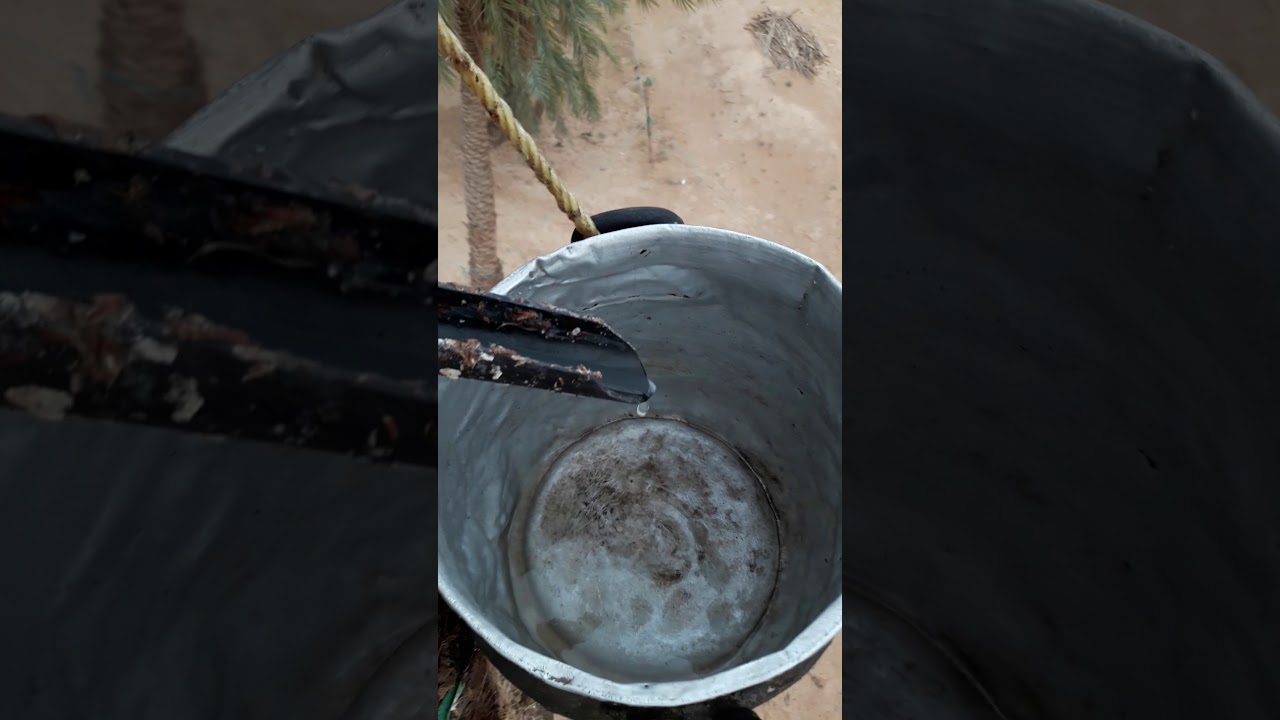 مسعود لاقمي الطيبات