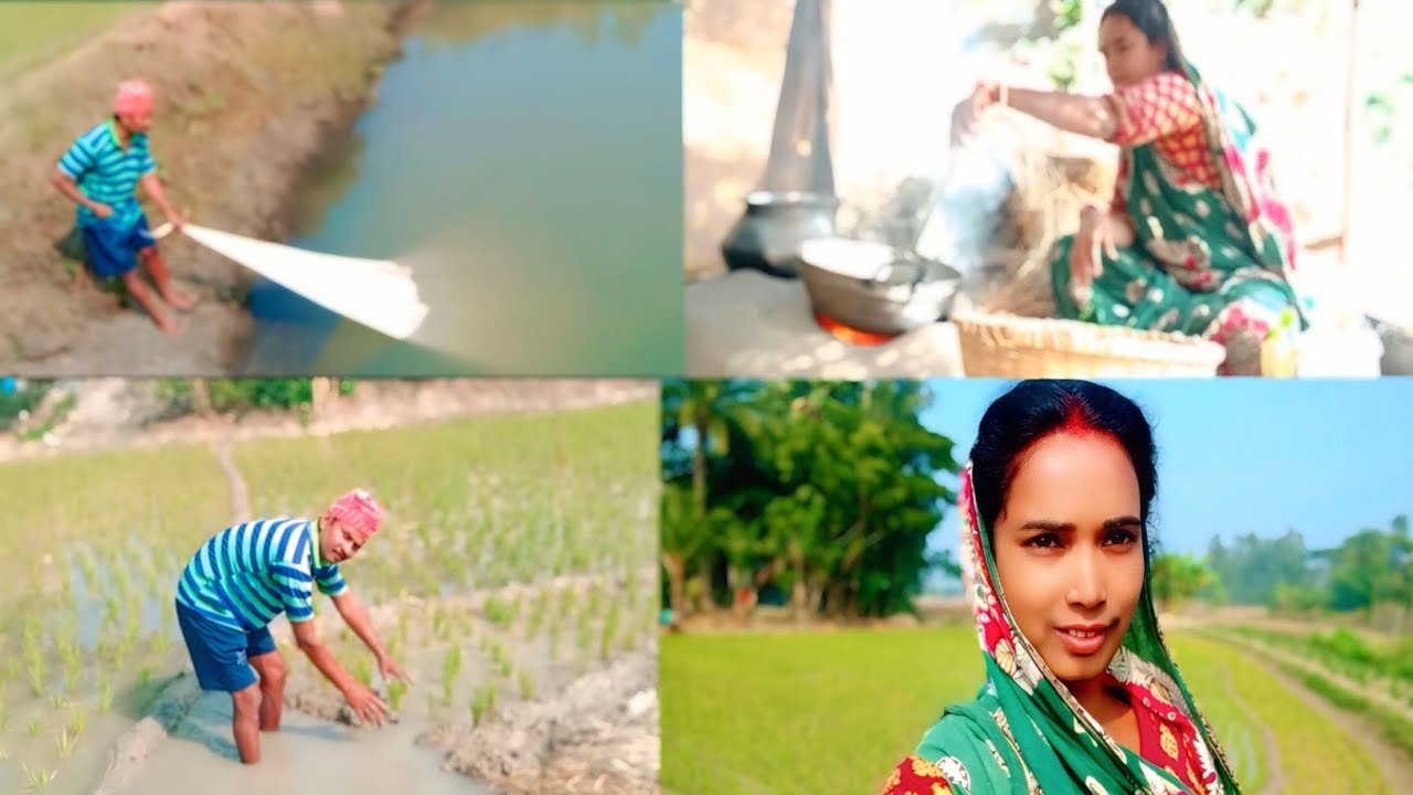 সকাল সকাল ধানের মাঠে গেলাম জল দিয়ে পুকুর থেকে জাল ফেলে মাছ ধরে মাটির উনুনে রান্না করলাম 🍚