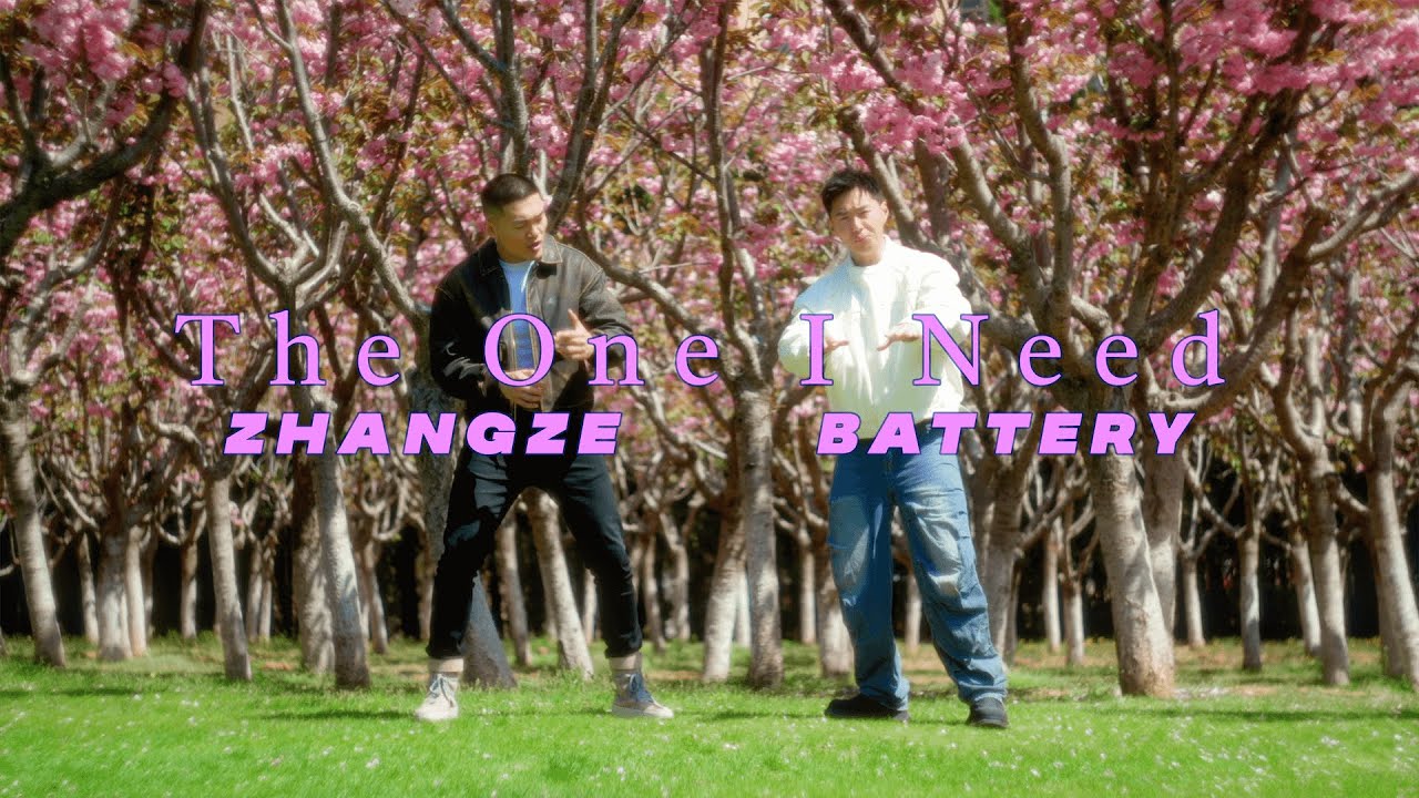 Zhang Ze & Battery | The One I Need