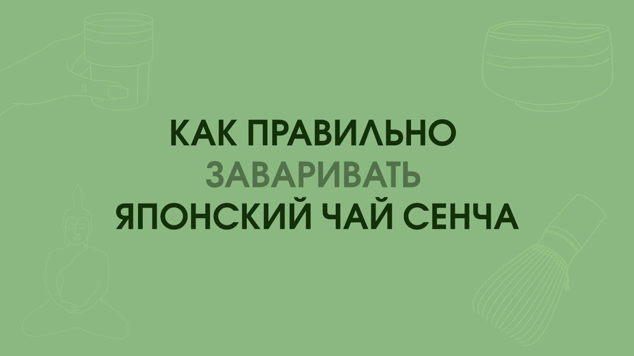 Как правильно заваривать зеленый японский чай СЕНЧА АСАМУШИ